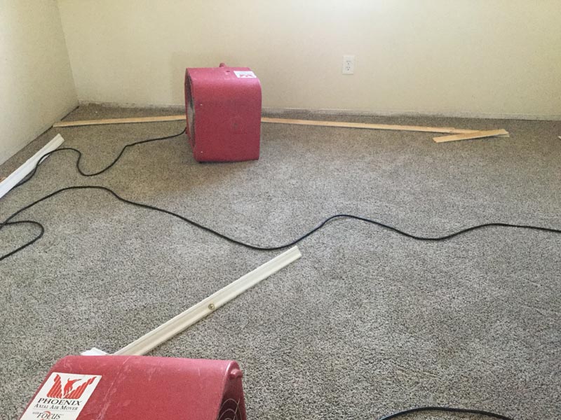 Photos | Indoor Flood