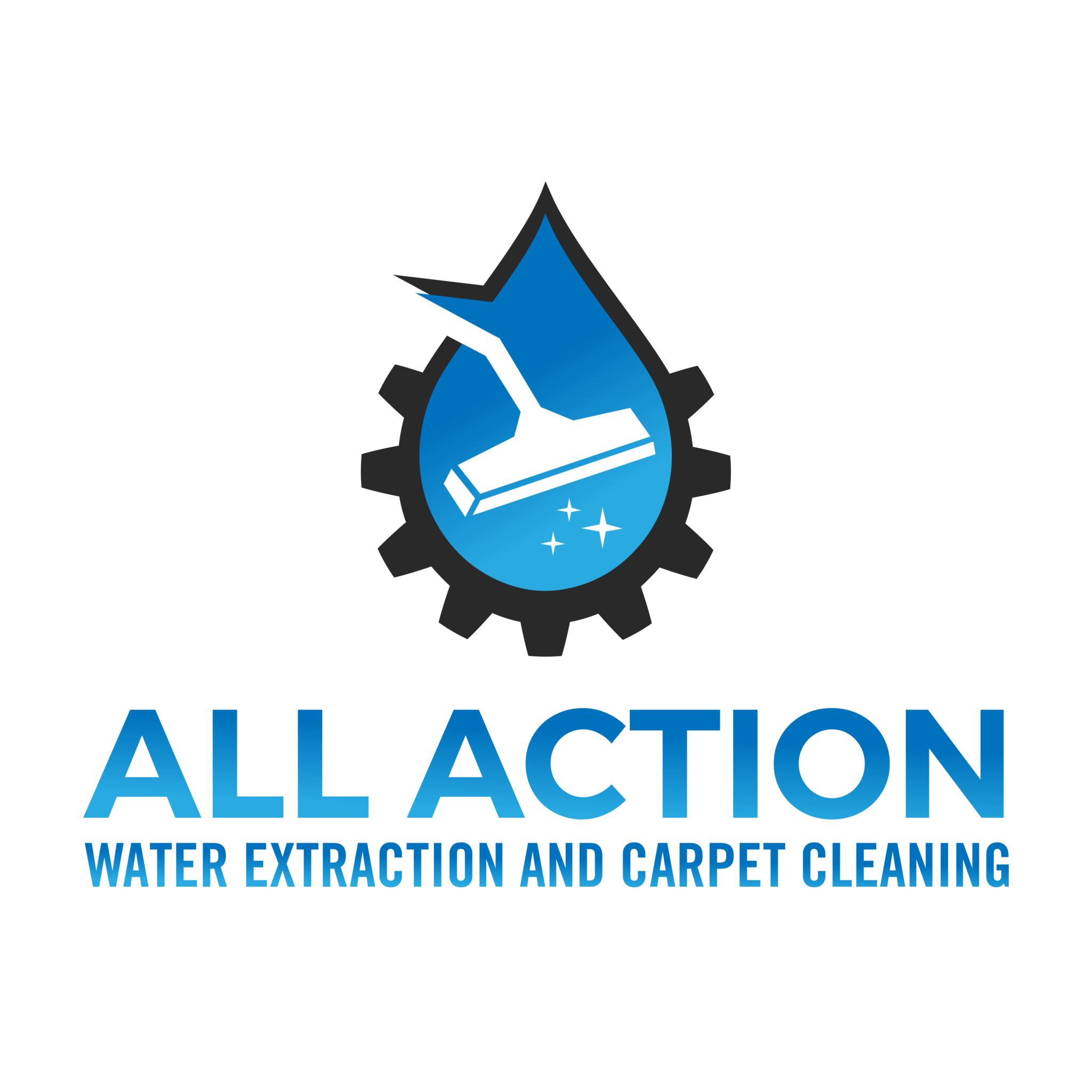All Action Water Extraction & Carpet Cleaning